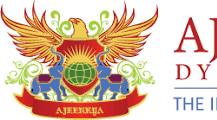 Ajeenkya DY Patil University Company logo